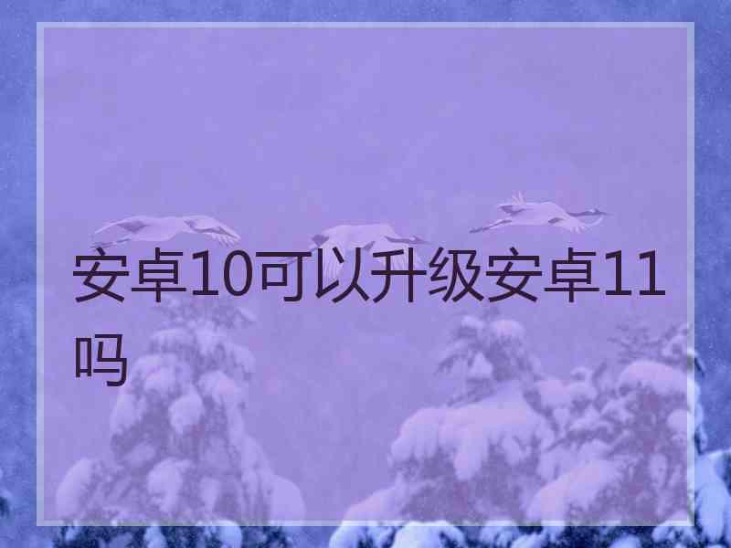 安卓10可以升级安卓11吗