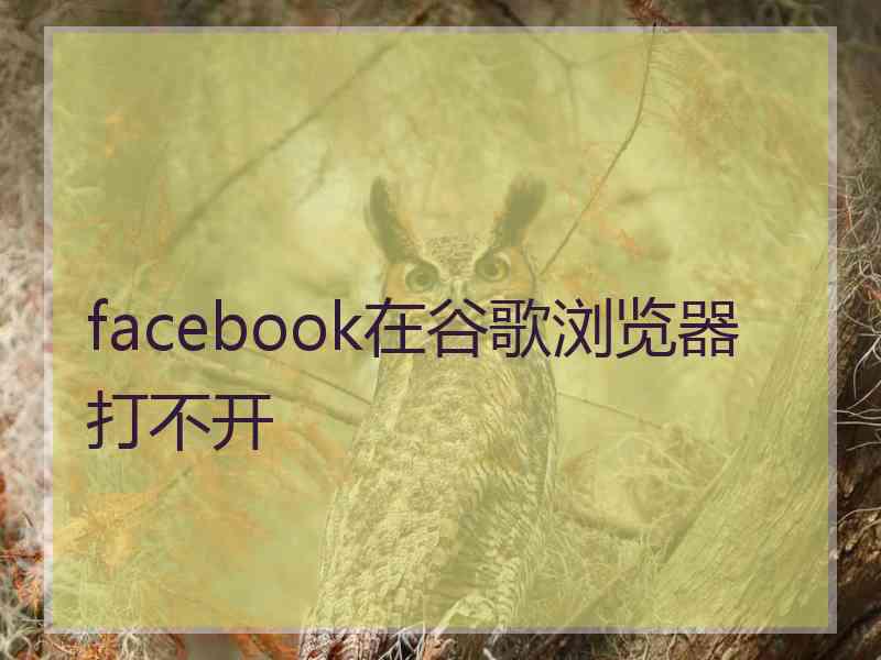 facebook在谷歌浏览器打不开