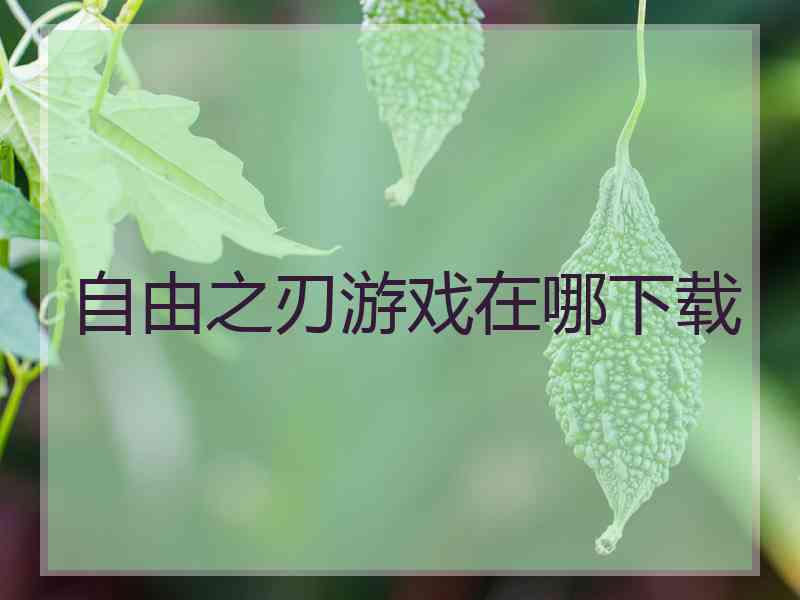 自由之刃游戏在哪下载