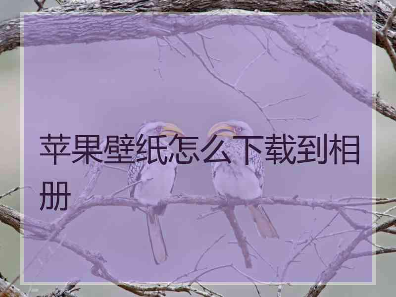 苹果壁纸怎么下载到相册