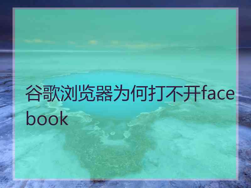 谷歌浏览器为何打不开facebook