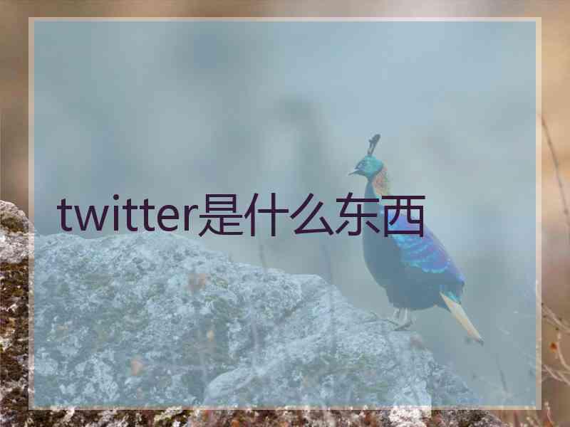 twitter是什么东西