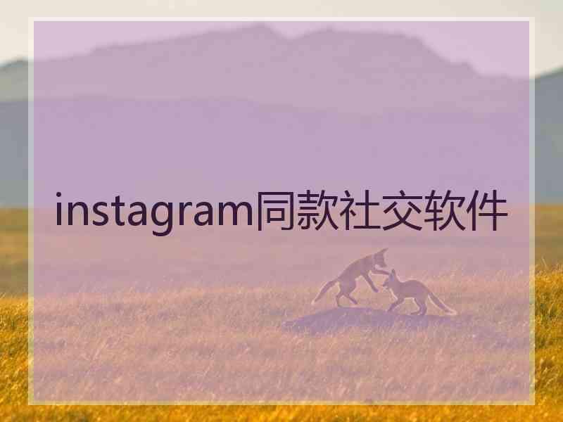 instagram同款社交软件