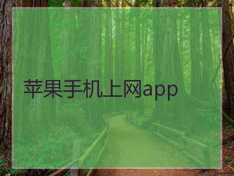 苹果手机上网app