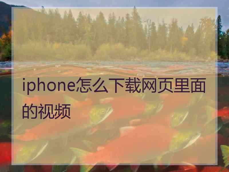 iphone怎么下载网页里面的视频