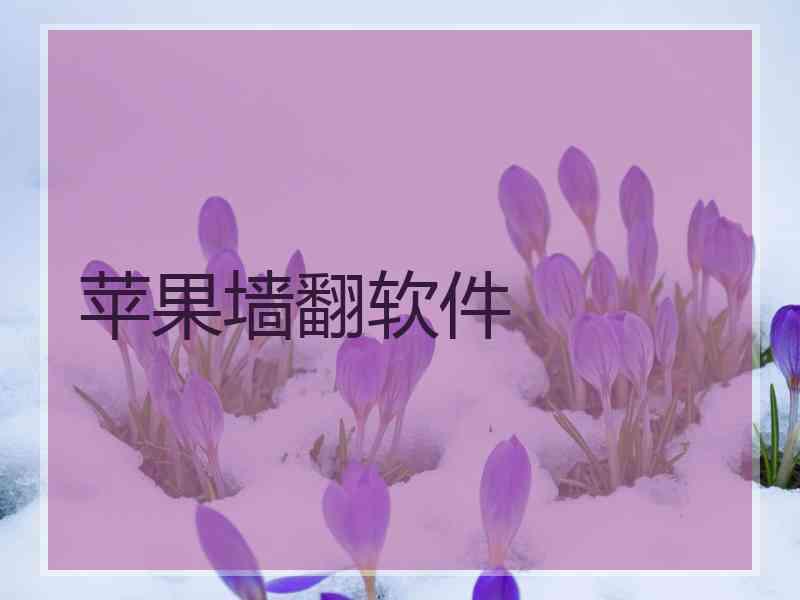 苹果墙翻软件