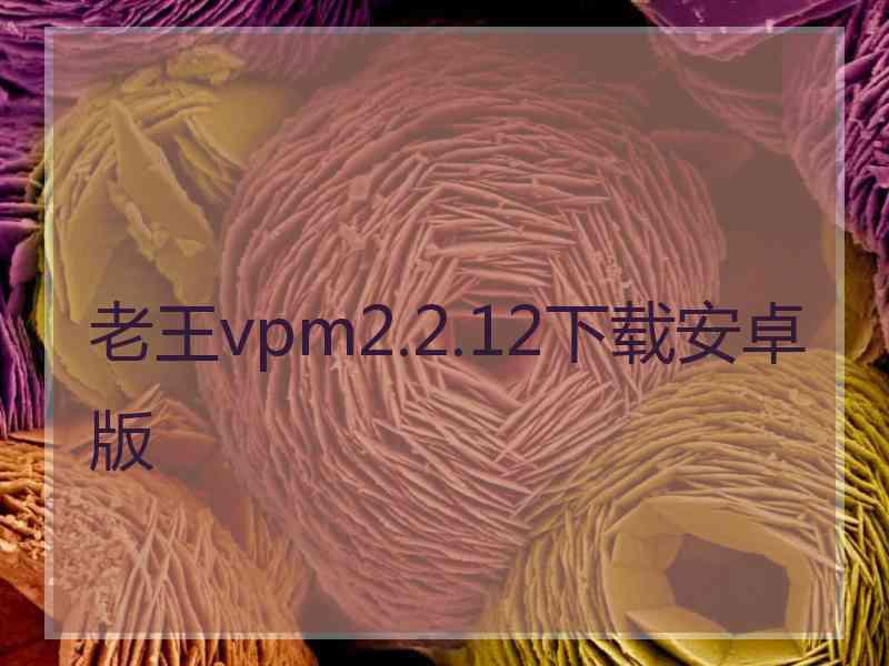 老王vpm2.2.12下载安卓版