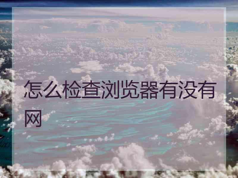 怎么检查浏览器有没有网