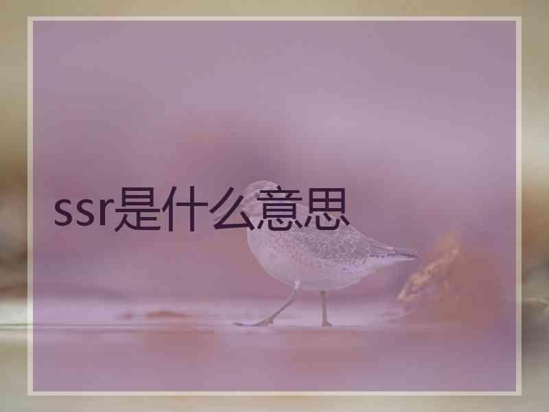 ssr是什么意思