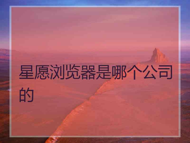 星愿浏览器是哪个公司的